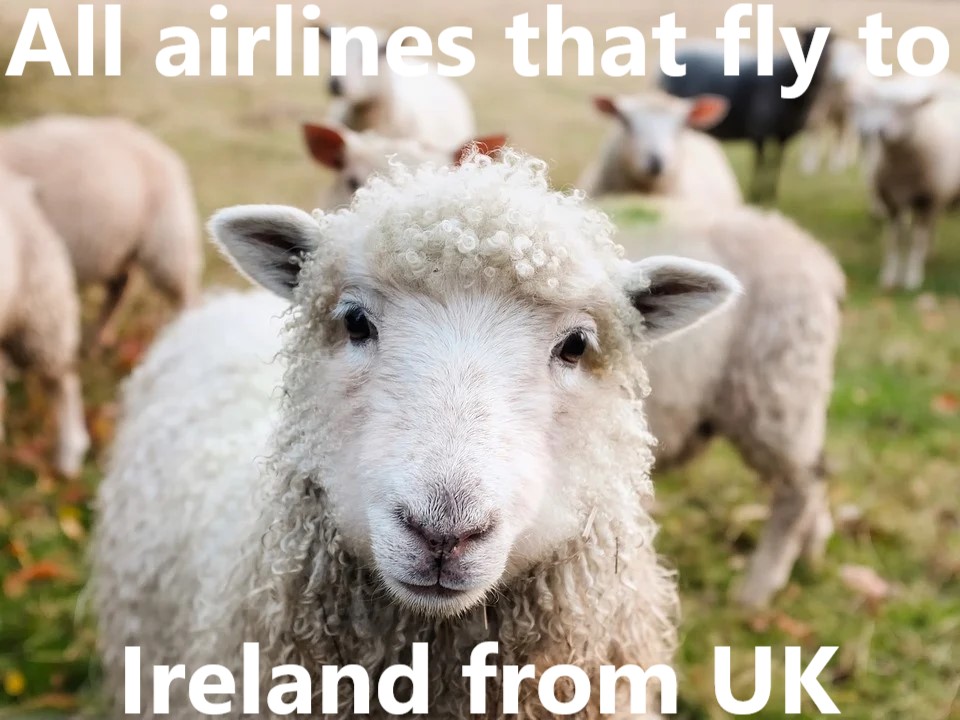 voli per l'Irlanda dal Regno Unito